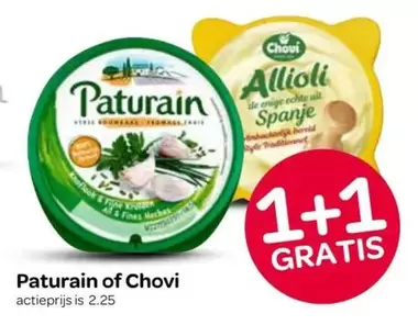 De - Paturain of Chovi