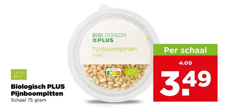 Pijnboompitten