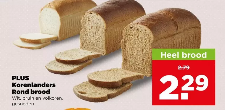Bruin - Heel brood
