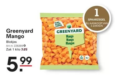 plant - Greenyard Mango Blokjes