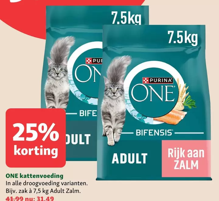 one - Kattenvoeding