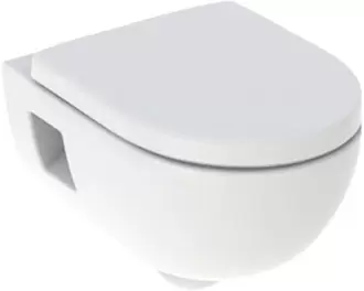 GEBERIT Spoelrandloos toilet 300 Basic incl. softclose wc-bril wit