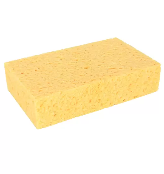 Spons