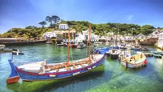 Busreis Engelse Rivièra