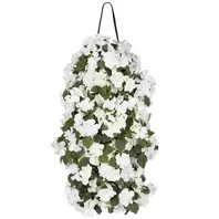 Wandhanger Impatiens