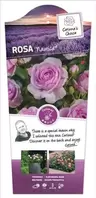 Roos 'Nautica'