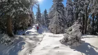 Winterwandelreis Karinthië