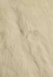 Giselle Gilet