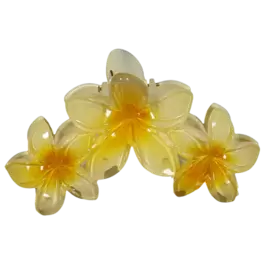 Hairslide