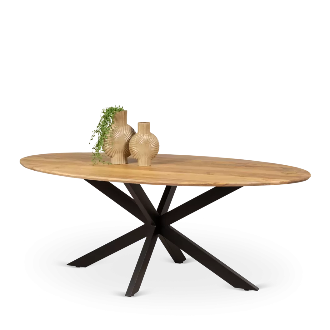 Eettafel (ovaal - 220x110cm) Blaine Naturel (sale)