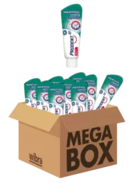Prodent Menthol Power tandpasta megabox 12 tubes