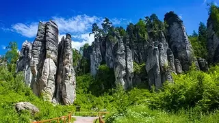Busreis Het Reuzengebergte van Tsjechië