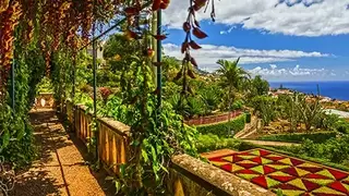Vlieg-busreis Bloemrijk Madeira