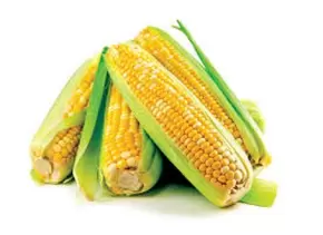 MAIS VERS (PER STUK)