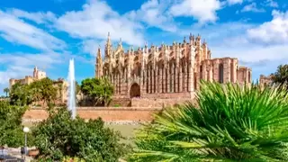 Vliegreis Veelzijdig Mallorca