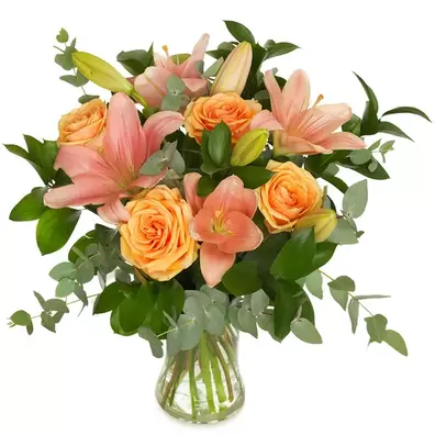 Perzikkleurige lelies