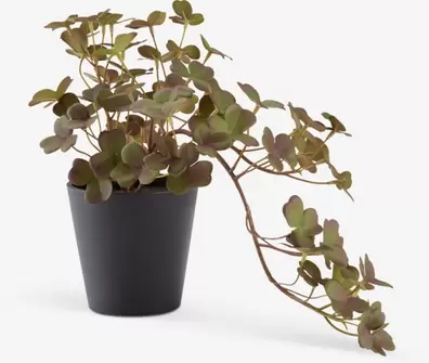 Kunstplant BERGUR L21 cm hangend