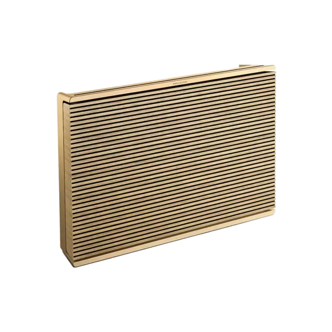 Beosound Level