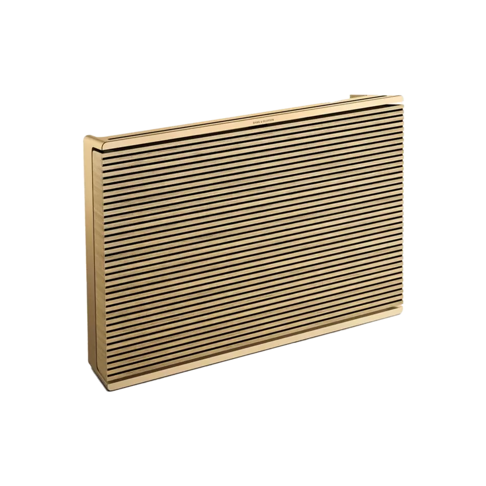 Beosound Level