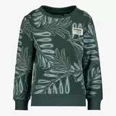 Unsigned jongens sweater met bladerenprint groen