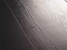 Quick-Step Capture | SIG4755