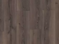 Quick-Step Majestic | MJ355