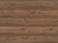 Varia | Santa cruz eik