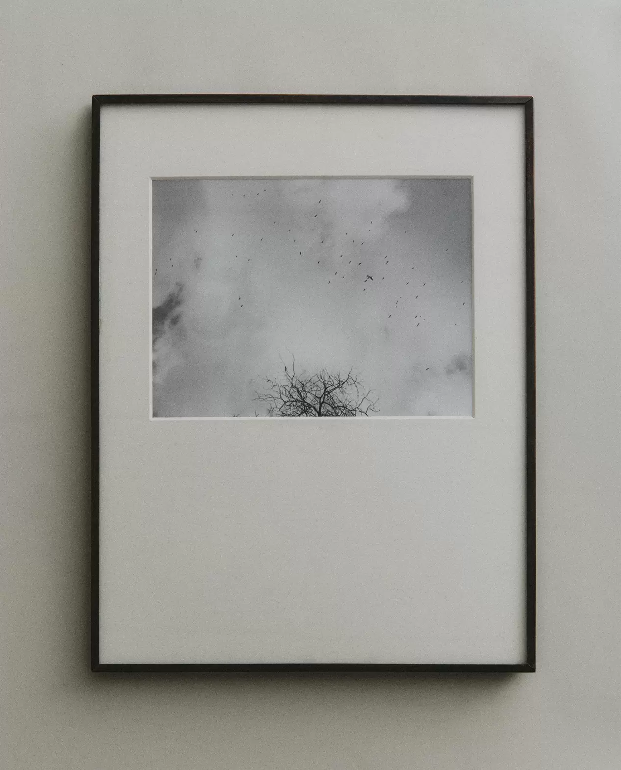 FOTOLIJST MET PASSE-PARTOUT