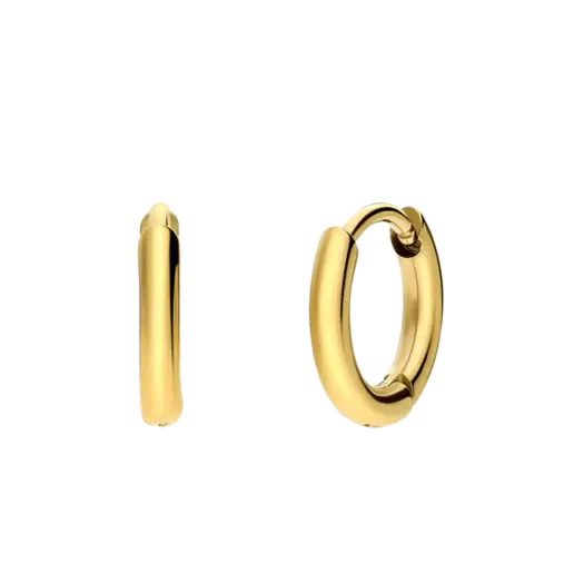 Stainless steel goldplated oorringen voor dames