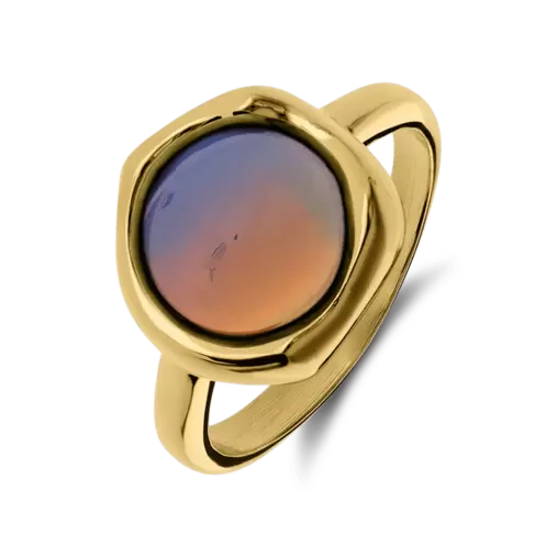 Stainless steel goldplated ring