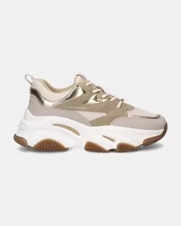 Steve Madden Progressive