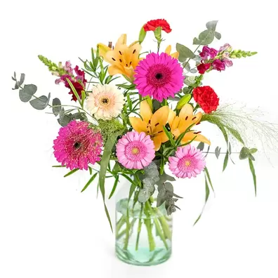 Blossoms of Joy
