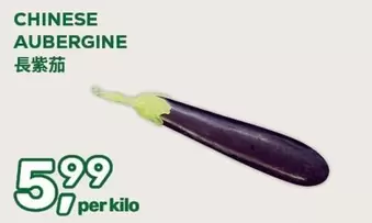 CHINESE AUBERGINE