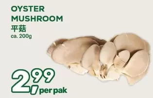 OYSTER MUSHROOM