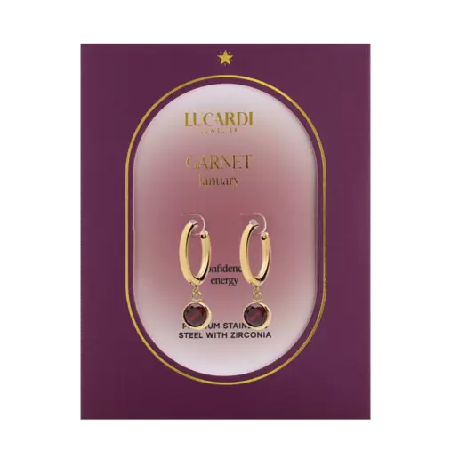 Stainless steel goldplated oorbellen geboortesteen