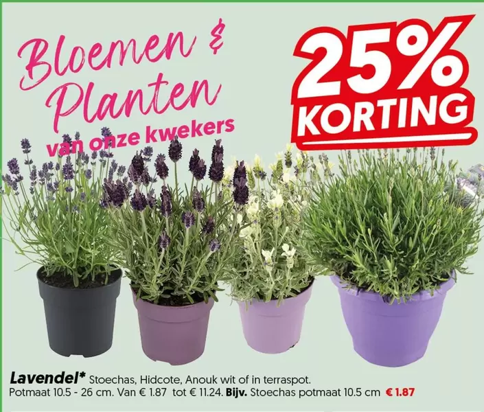 Anouk - Bloemen & Planten