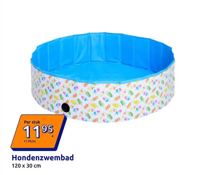 Hondenzwembad