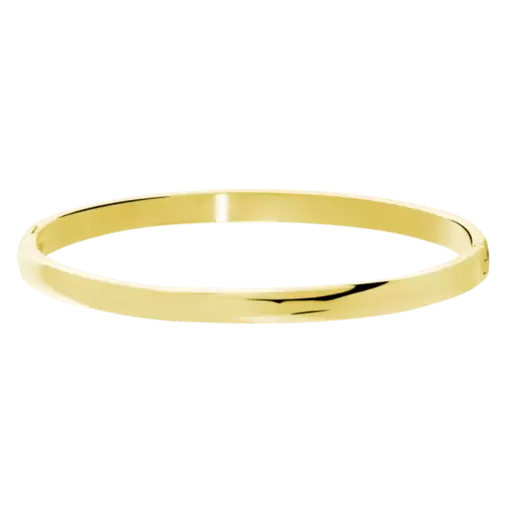 Stainless steel goldplated bangle 5mm voor dames