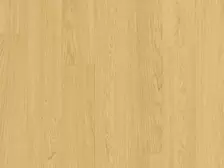 Quick-step impressive | IM8259