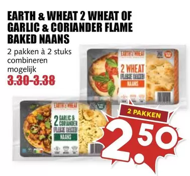 EARTH & WHEAT 2 WHEAT OF GARLIC & CORIANDER FLAME BAKED NAANS