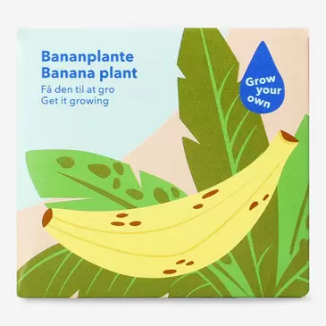 Grow kit - Banana plant