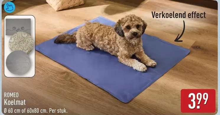 Koelmat