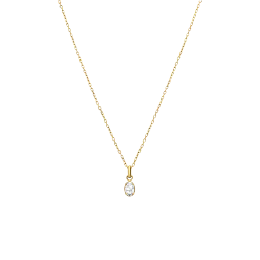 Stainless steel goldplated ketting met hanger met zirkonia voor dames