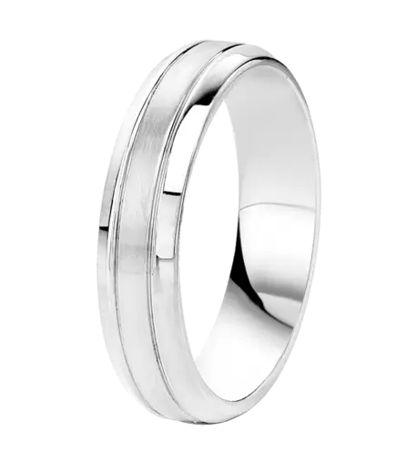 Gerecycled stainless steel heren ring