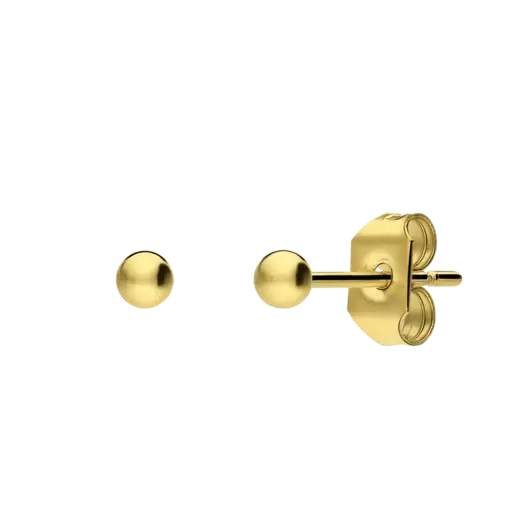 Stainless steel goldplated oorknoppen 2,5mm