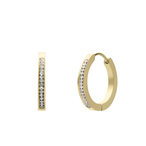 Stainless steel goldplated oorringen met kristal voor dames