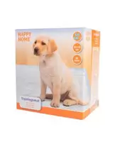 Happy Home Trainingsmat - Zindelijkheid - 60x60 cm 60 stuks