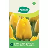 Tulp Golden Apeldoorn 8 stuks