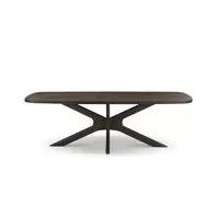 Eetkamertafel Maaike | 200cm | Bruin Mango.