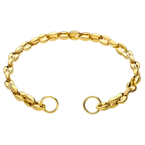 Stainless steel goldplated schakelarmband voor dames